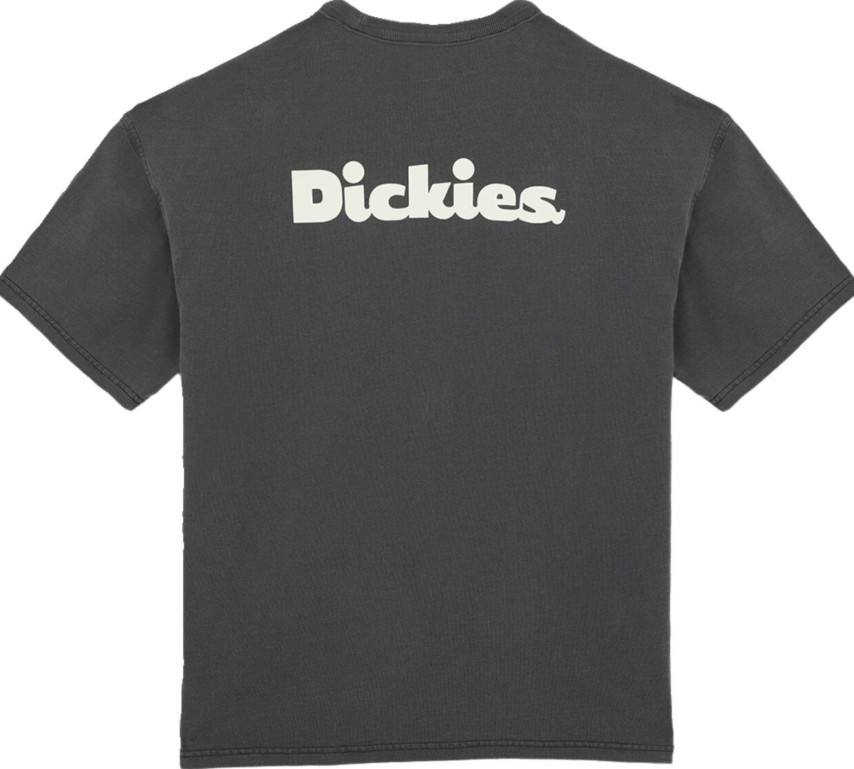 Dickies Slayden GD t-shirt black, 2XL