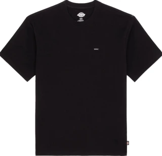 Dickies Clancy Heavyweight t-shirt