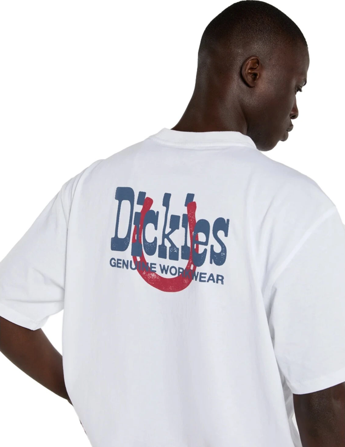 Dickies Vernal t-shirt, White, 2XL