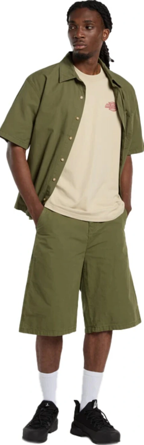 Dickies Millville t-shirt, eucalyptus Cream, 2XL