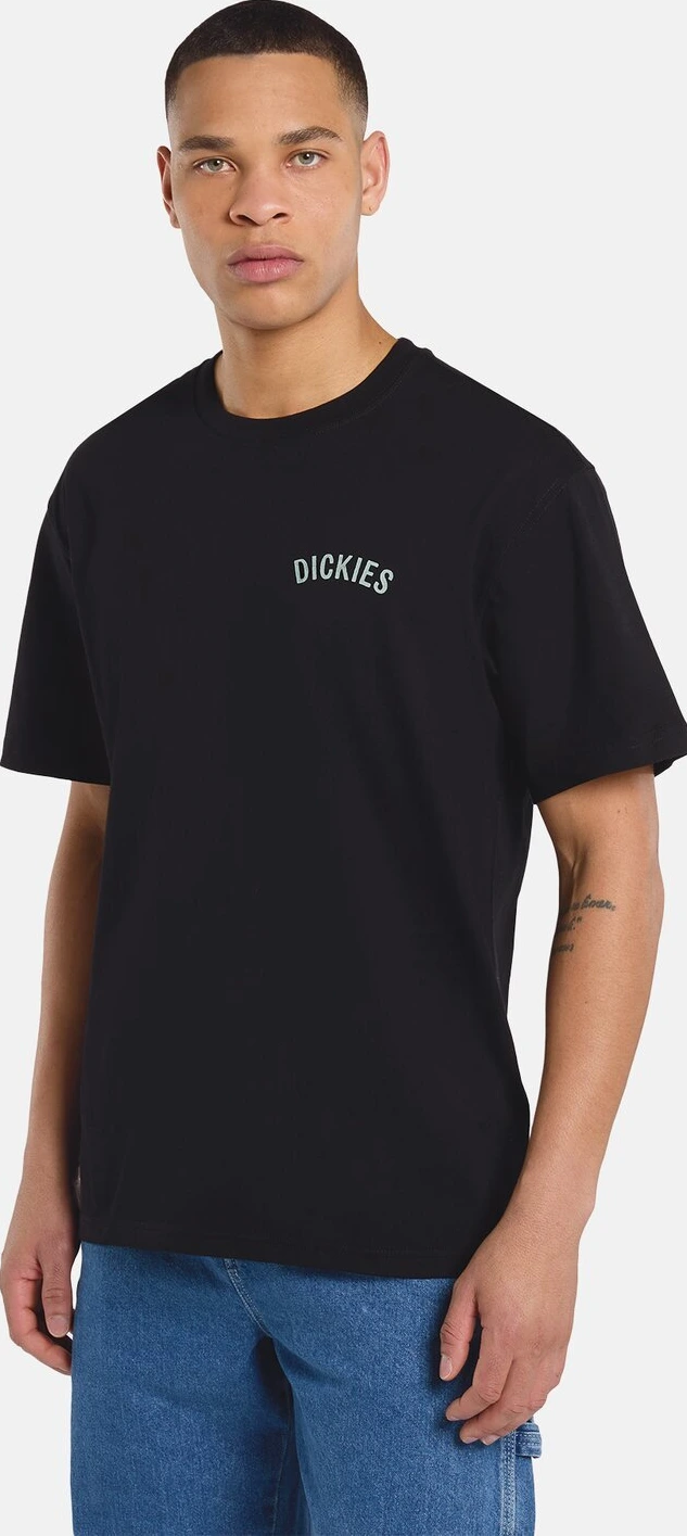 Dickies Snake t-shirt, Black, S