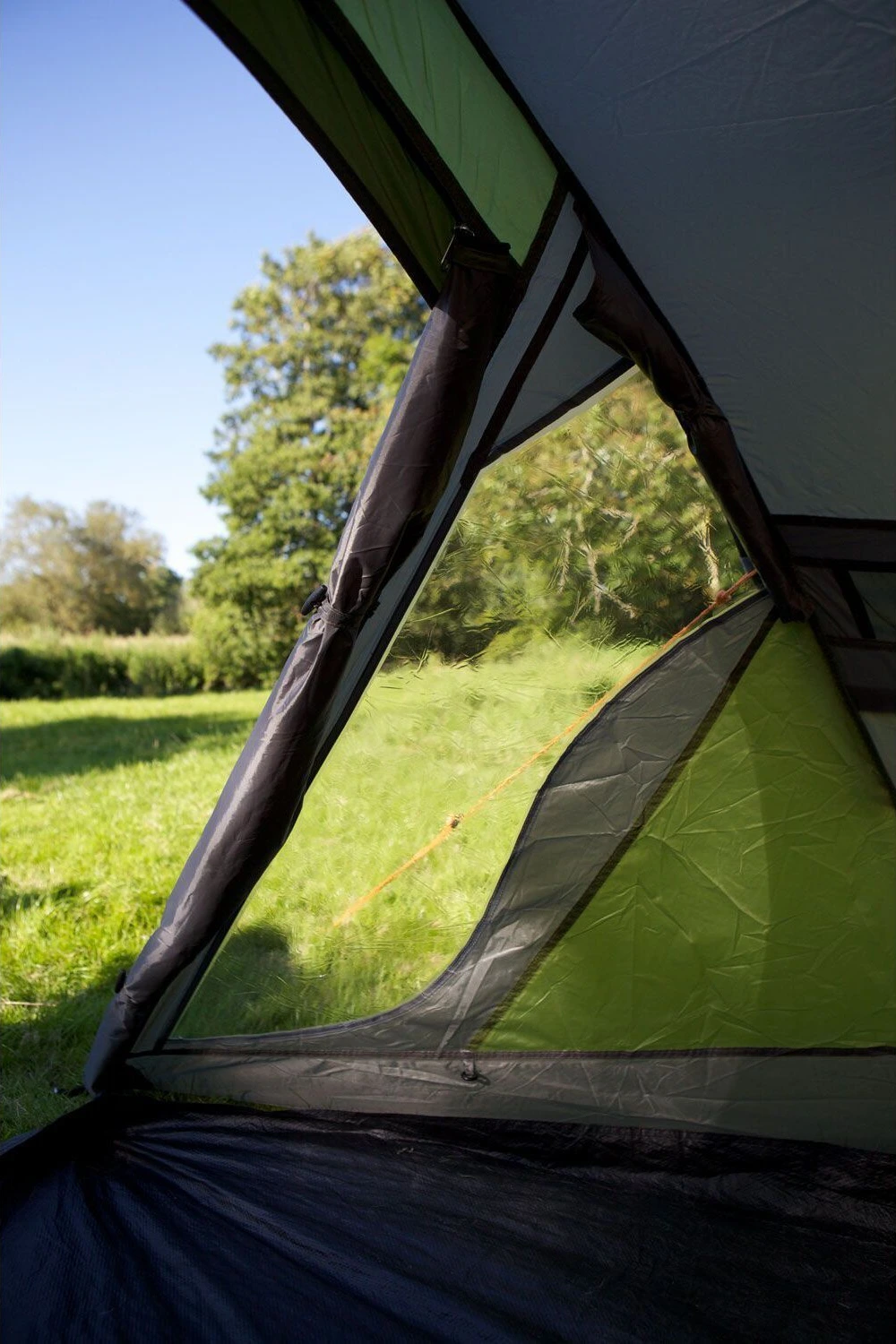 Coleman Darwin 2+ tent, dark grey, army Green, Green
