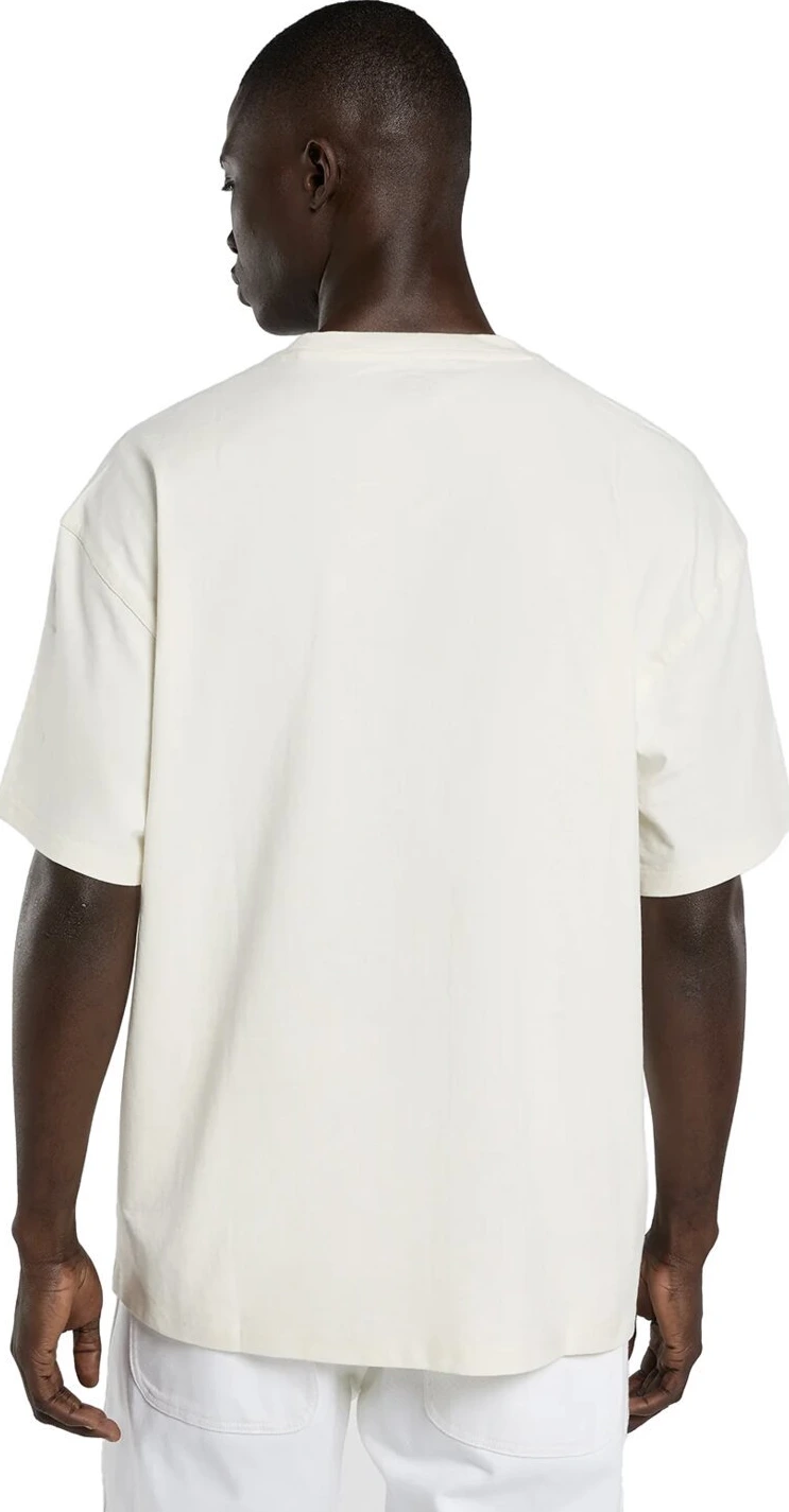 Dickies Irondale t-shirt, egret Cream, L
