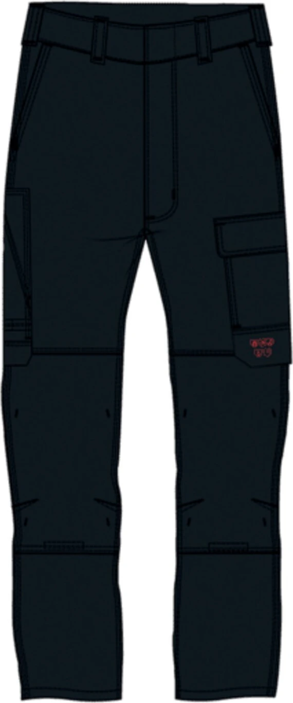 Carhartt Flex Canvas multi-cargo pants, Black