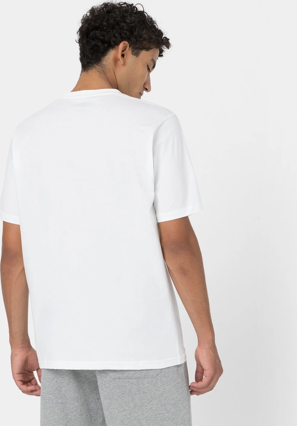 Dickies T-shirt pack, dark White, White, M