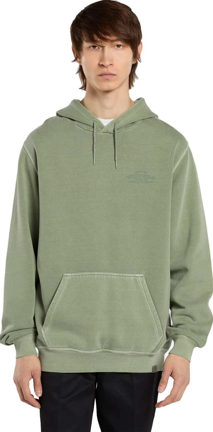 Dickies Christiana Gd hoodie, sea spray Green, S