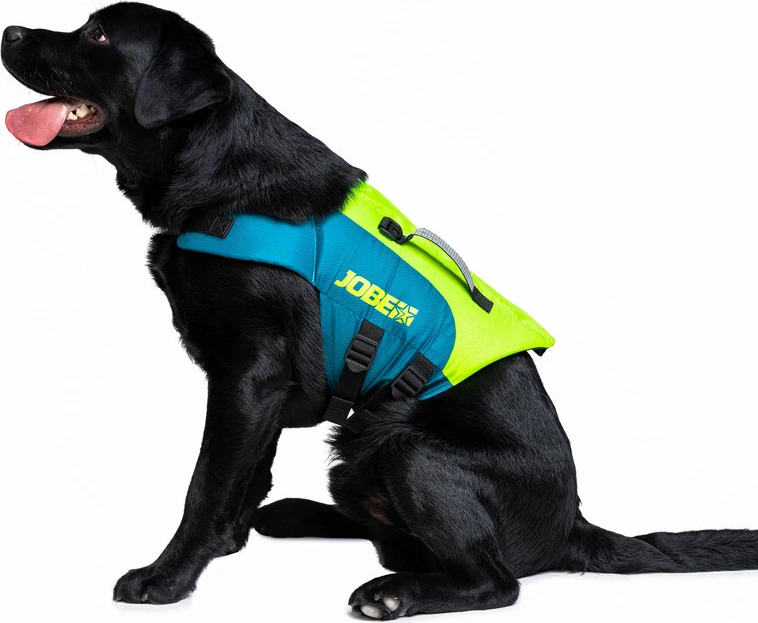 JOBE Pet vest lime/teal XS