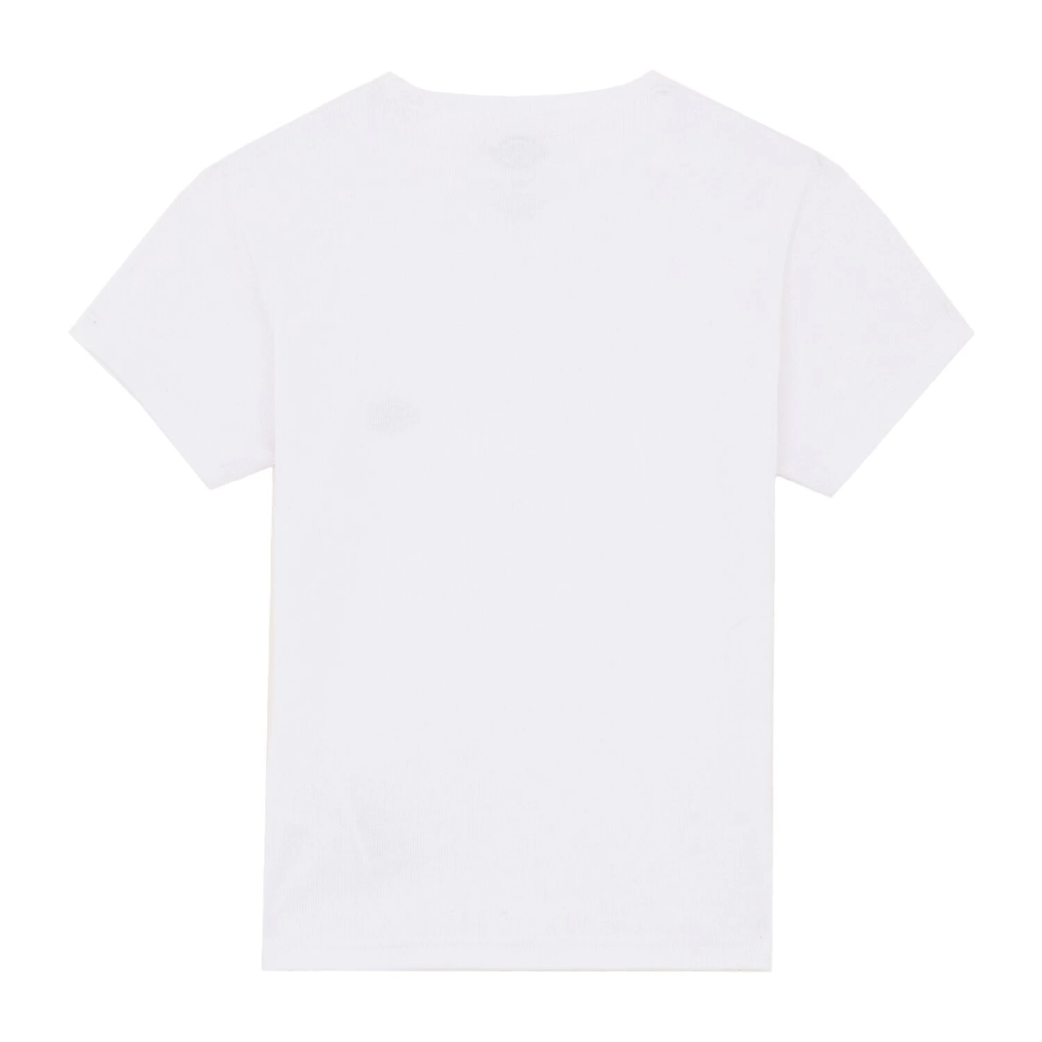 Dickies Gladeville female t-shirt, White, L