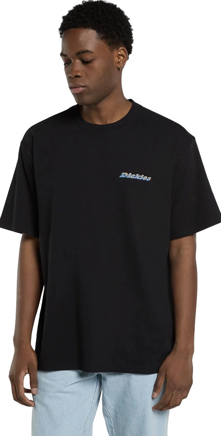 Dickies Thornville t-shirt, Black, M