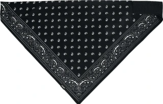 SportFlex® Bandana