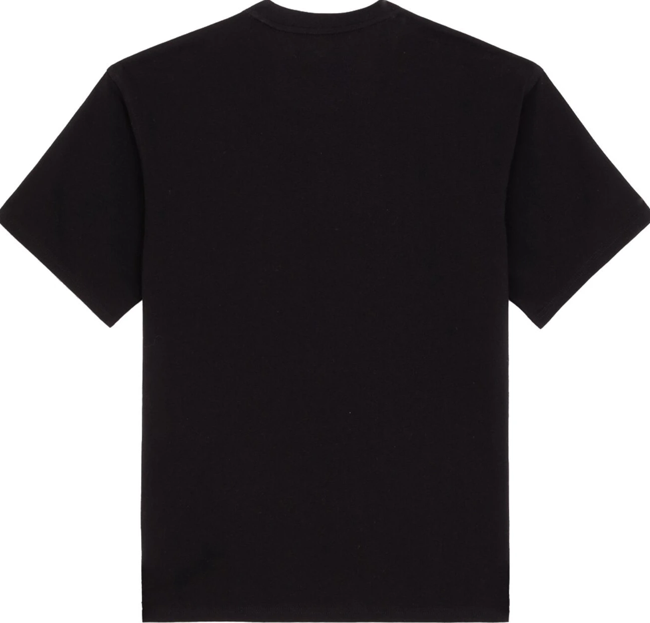 Dickies Clancy Heavyweight t-shirt, Black, L