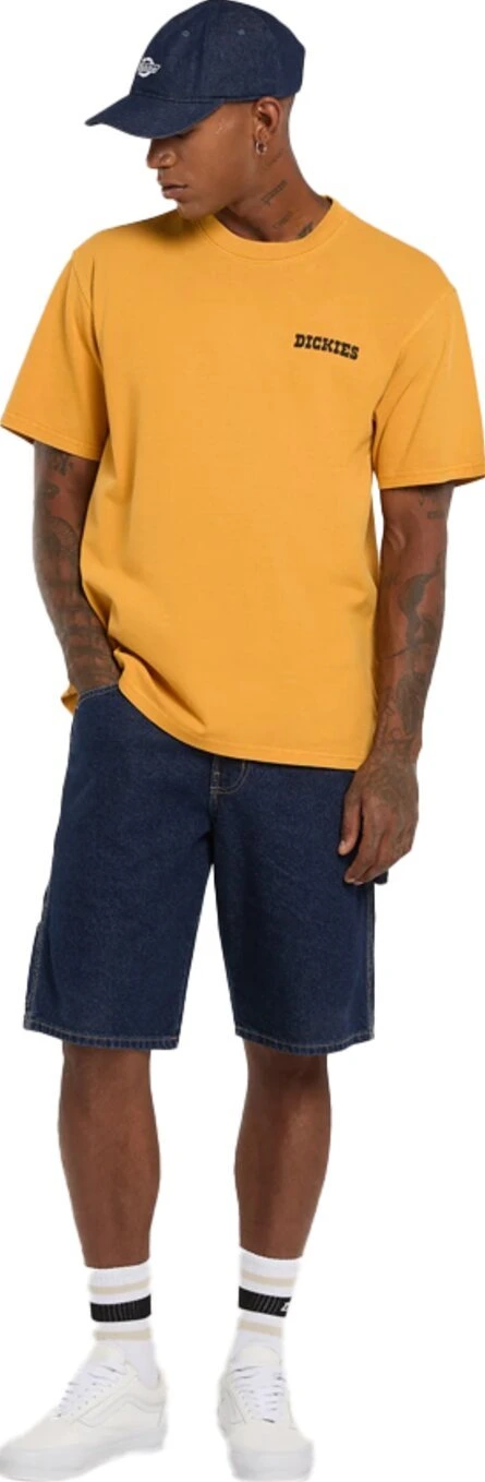 Dickies Darrtown t-shirt, sunflower Yellow, L