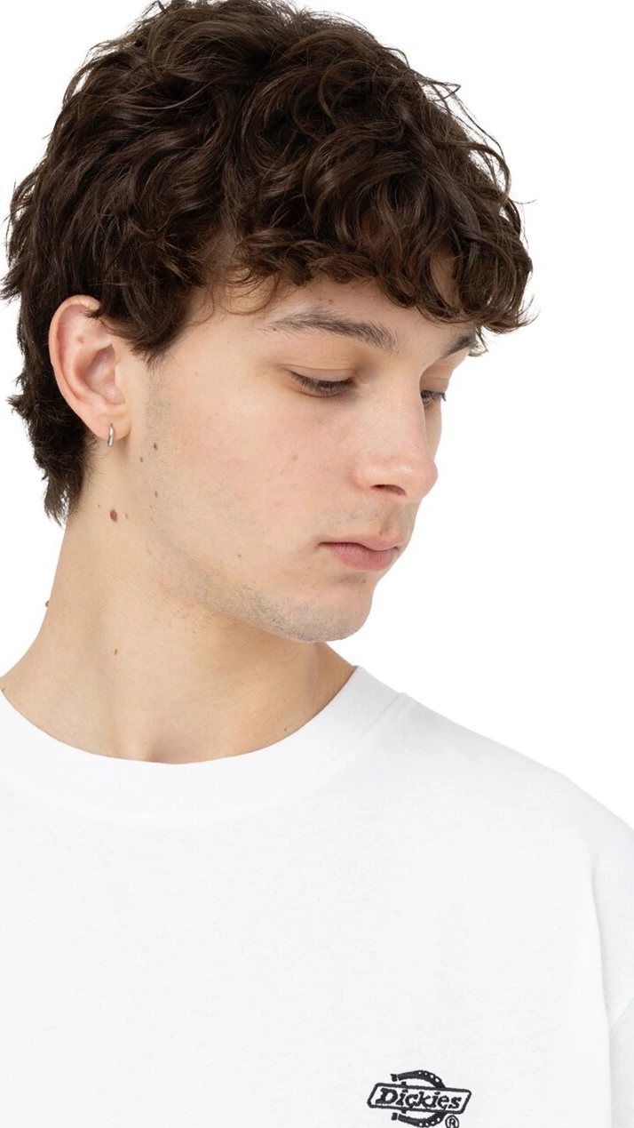 Dickies Summerdale t-shirt, White, M