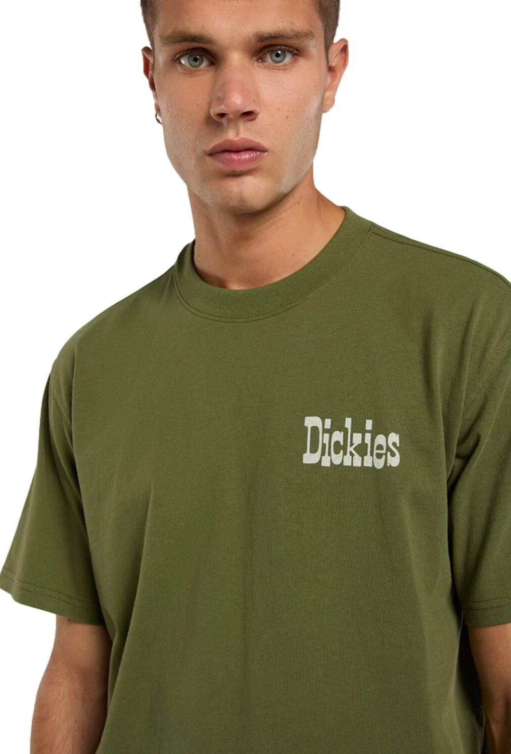 Dickies Vernal t-shirt, cypress Green, 2XL