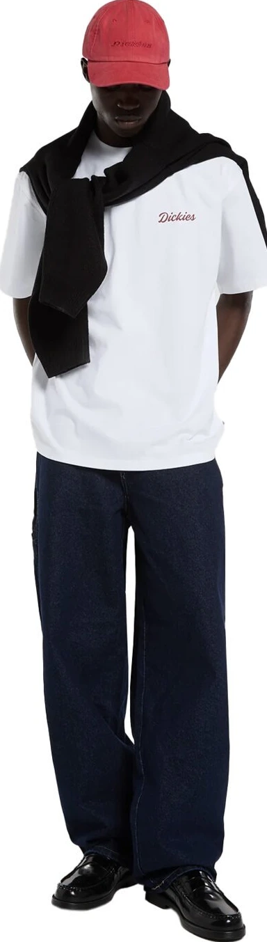 Dickies Wellsville t-shirt, White, L