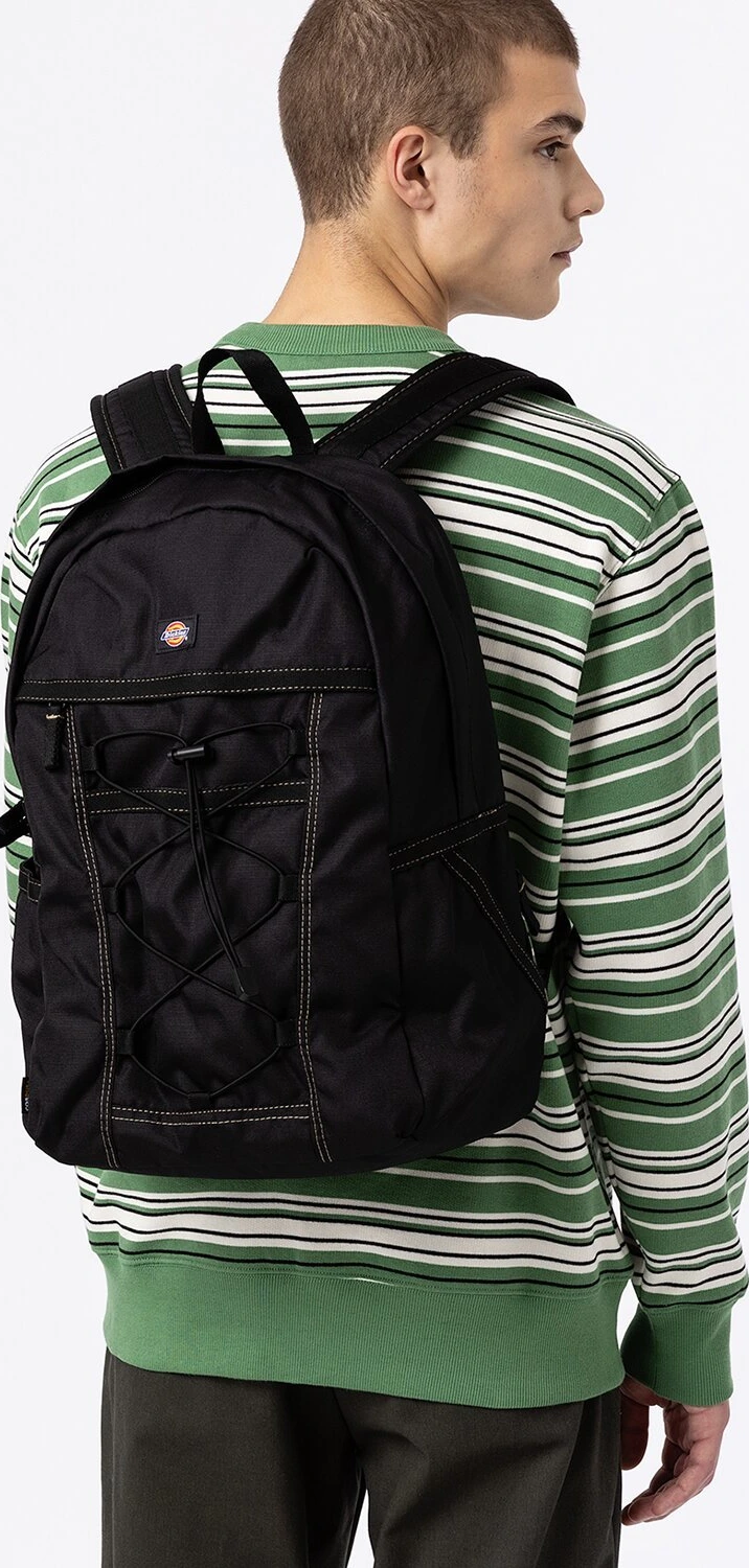 Dickies Ashville backpack, Black