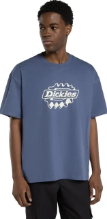 Dickies Irondale t-shirt
