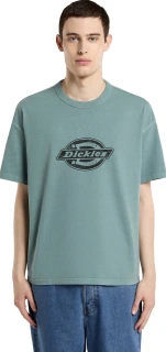 Dickies Plainville t-shirt