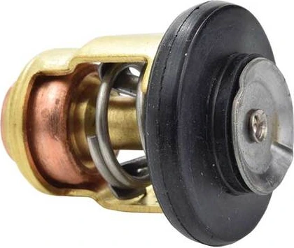 EMP termostatas Yamaha F2.5-F100/T8-T60 (60°C/140°F)