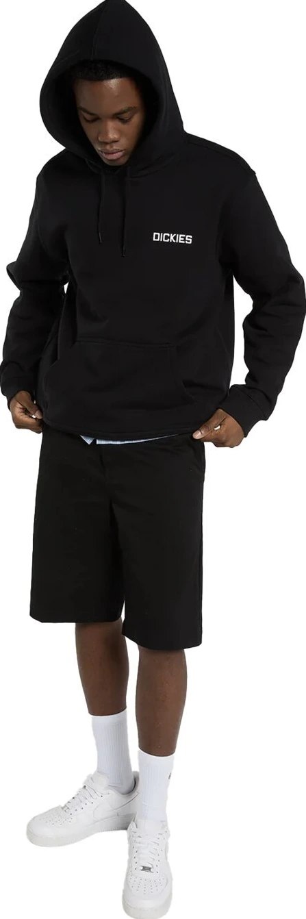Dickies Payson hoodie, Black, L
