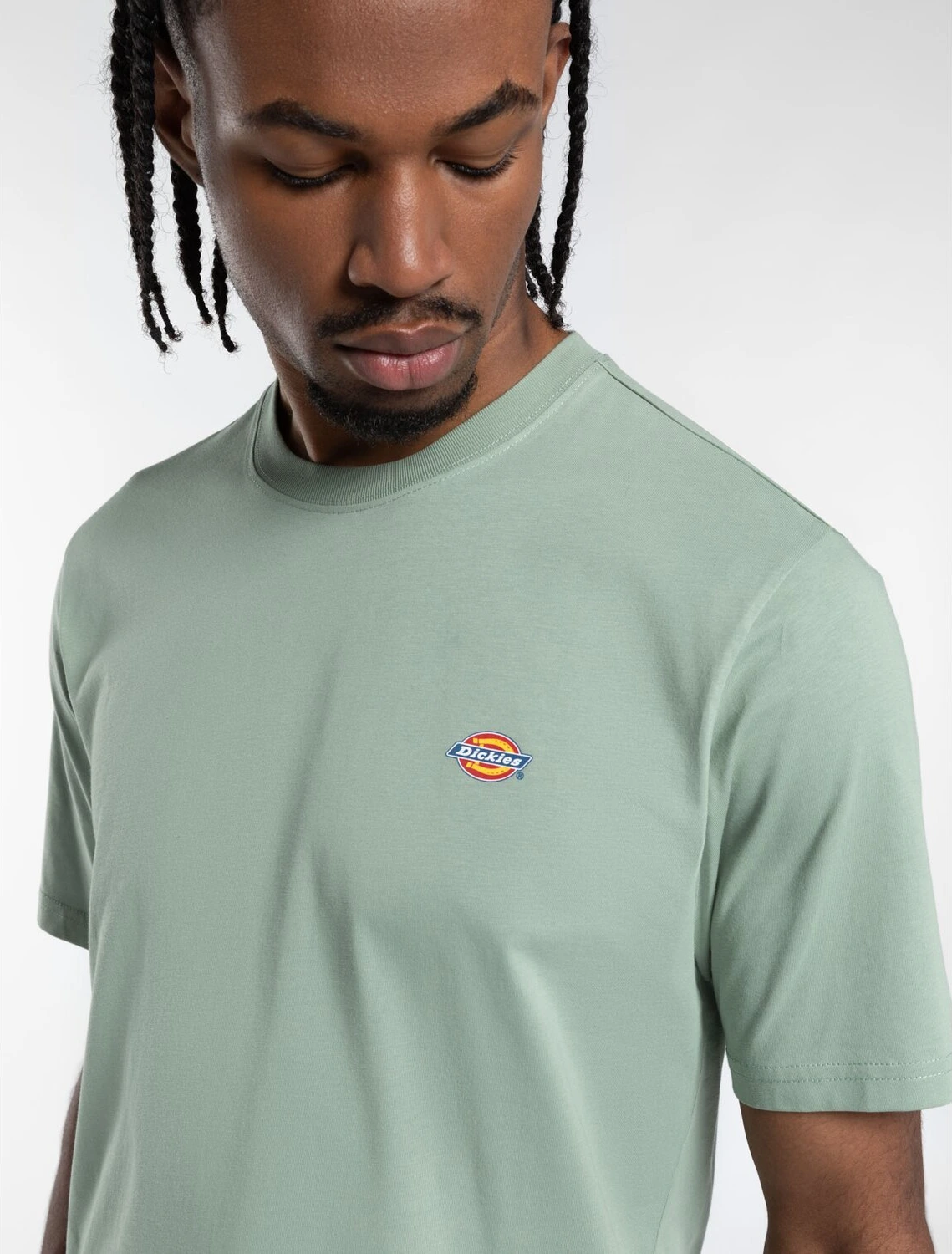 Dickies Mapleton t-shirt iceberg green, L