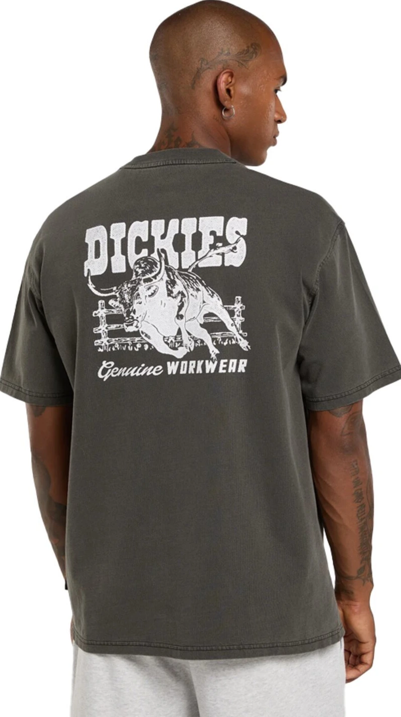 Dickies Buchtell t-shirt, Black, S