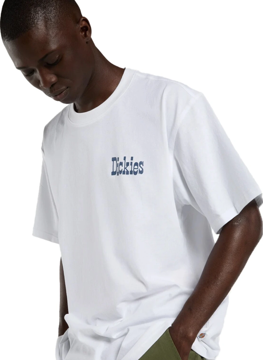 Dickies Vernal t-shirt, White, 2XL