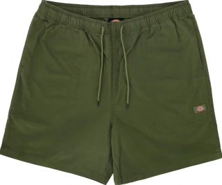 Dickies Pelican rapids short