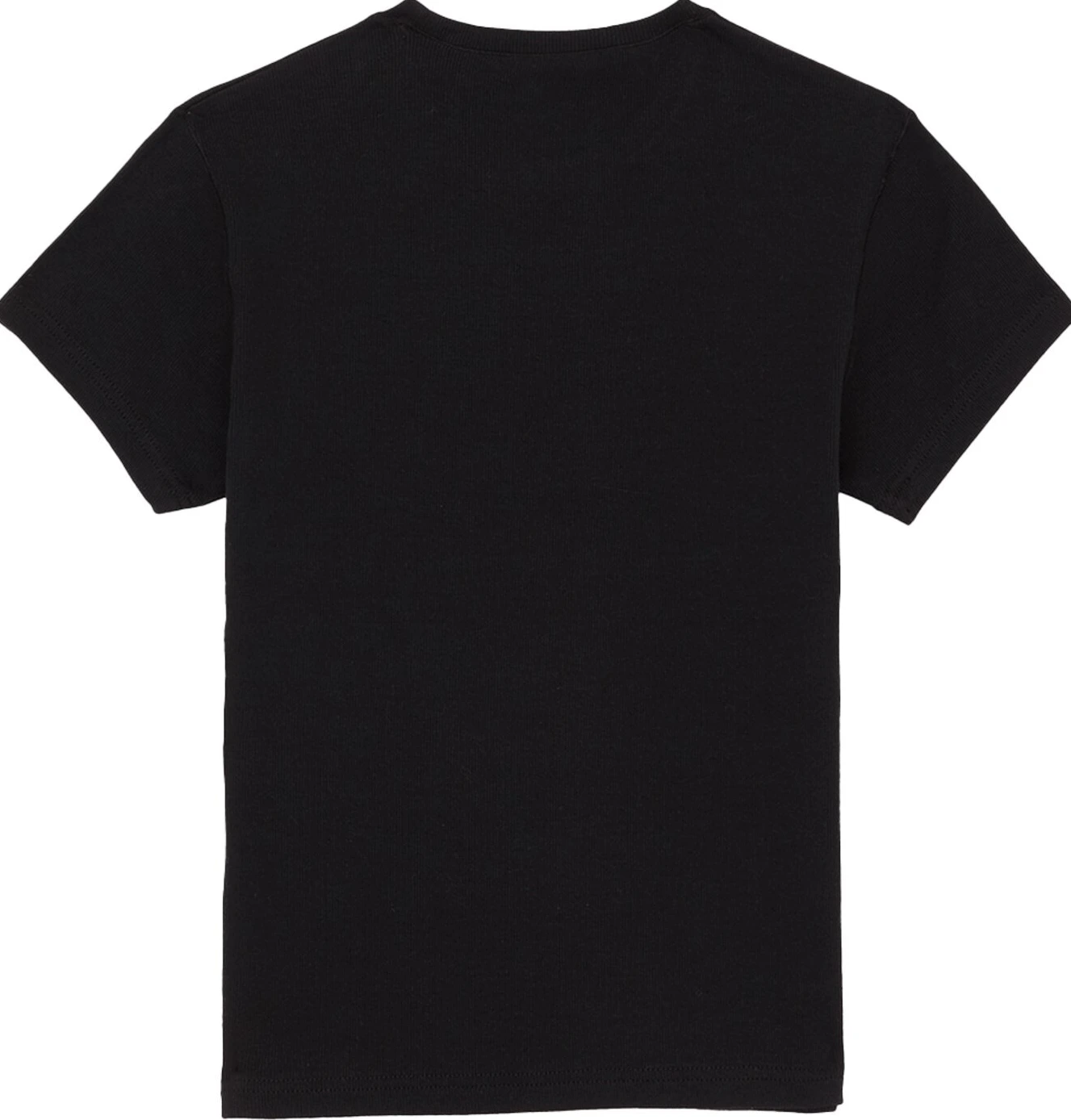 Dickies Gladeville female t-shirt, Black, L