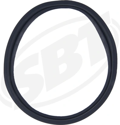 SBT Seal Sea Doo