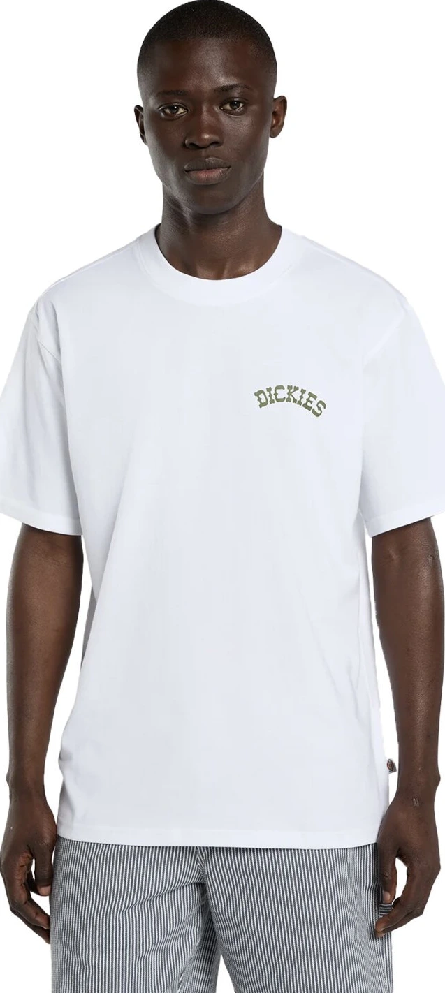 Dickies Bettsville t-shirt, White, L