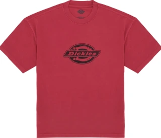 Dickies Plainville t-shirt