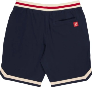 Santa Cruz Outer OGSC Baseball shorts