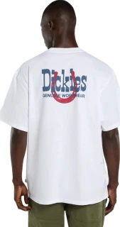 Dickies Vernal t-shirt