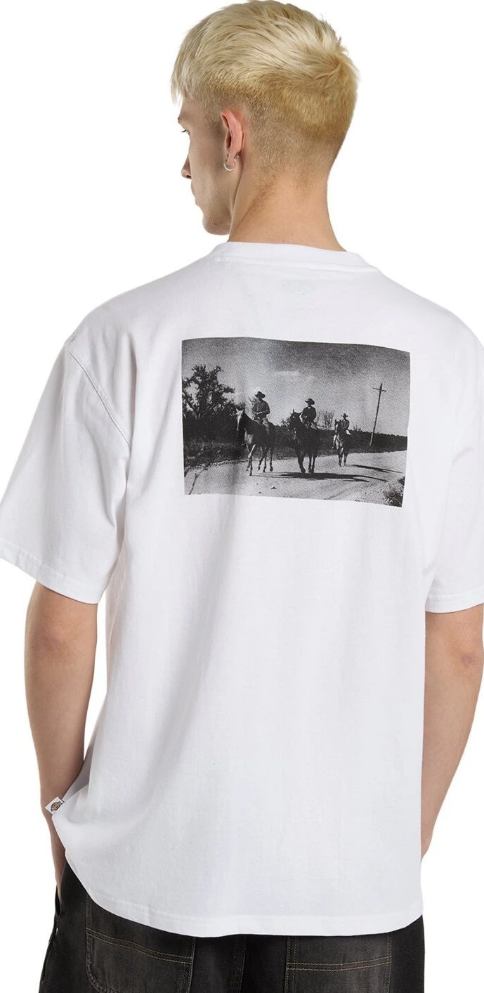 Dickies Millville t-shirt, White, 2XL