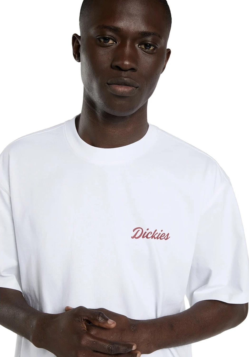 Dickies Wellsville t-shirt, White, L
