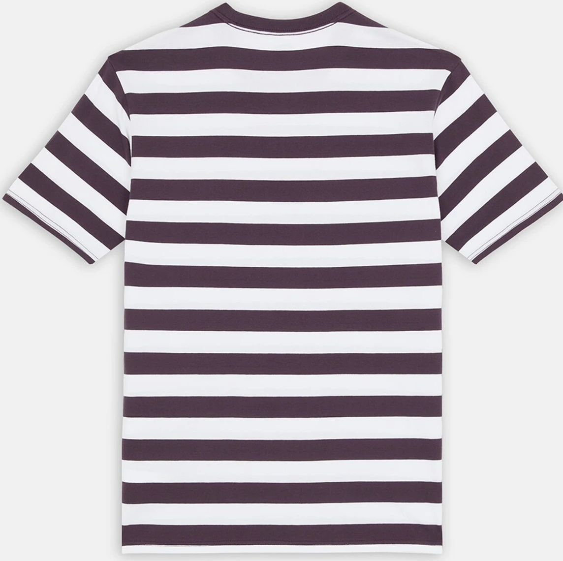 Dickies Rivergrove t-shirt plum perfect, Purple, S
