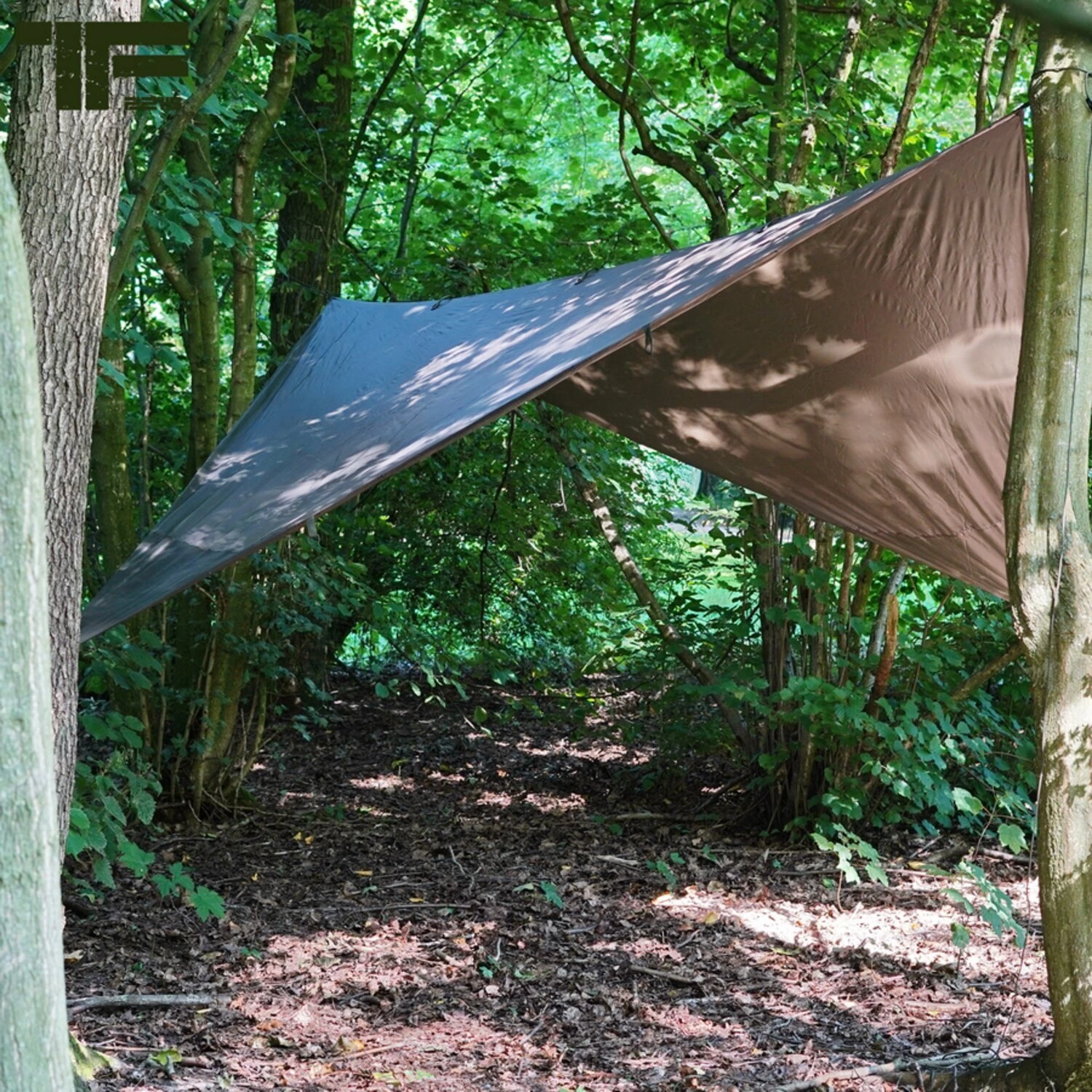 Fostex TF-2215 tarp