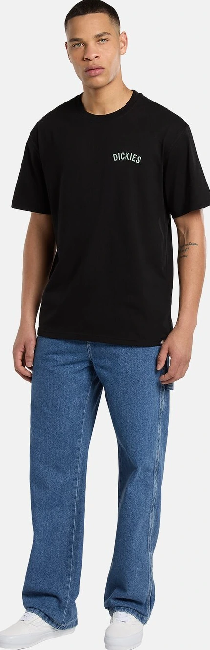 Dickies Snake t-shirt, Black, S