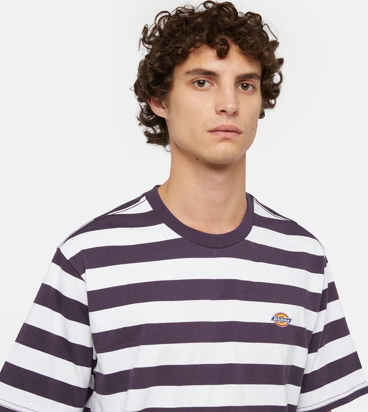 Dickies Rivergrove t-shirt plum perfect, Purple, S