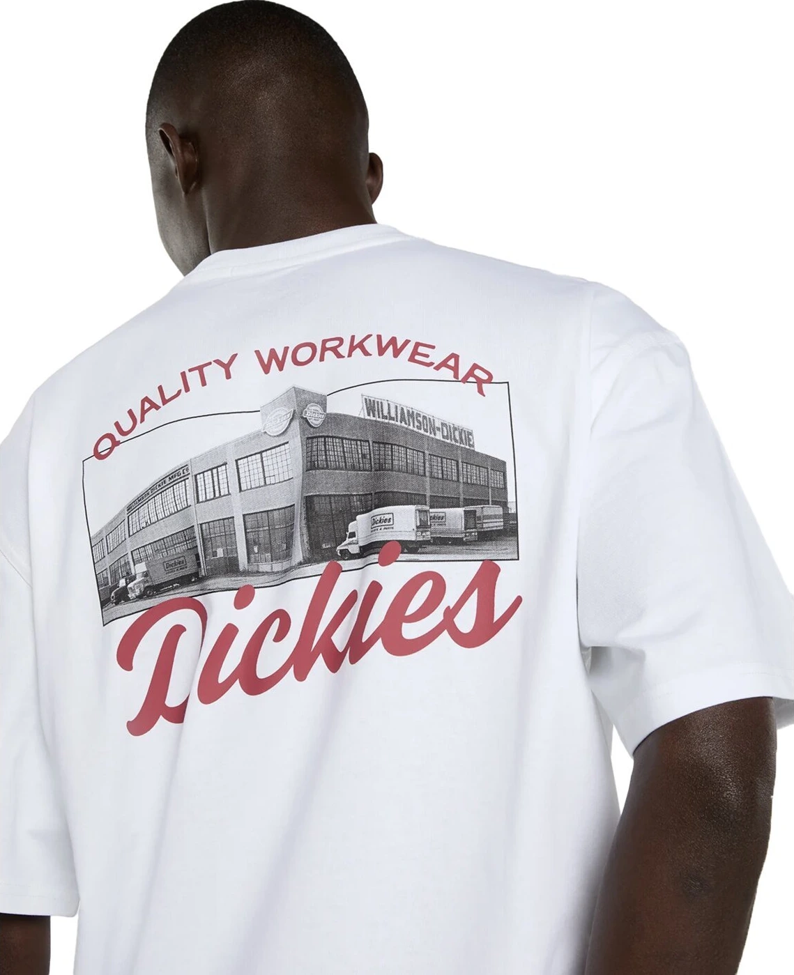 Dickies Wellsville t-shirt, White, L