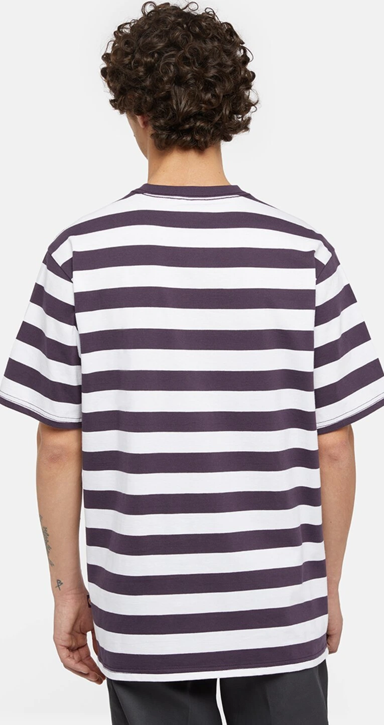 Dickies Rivergrove t-shirt plum perfect, Purple, S