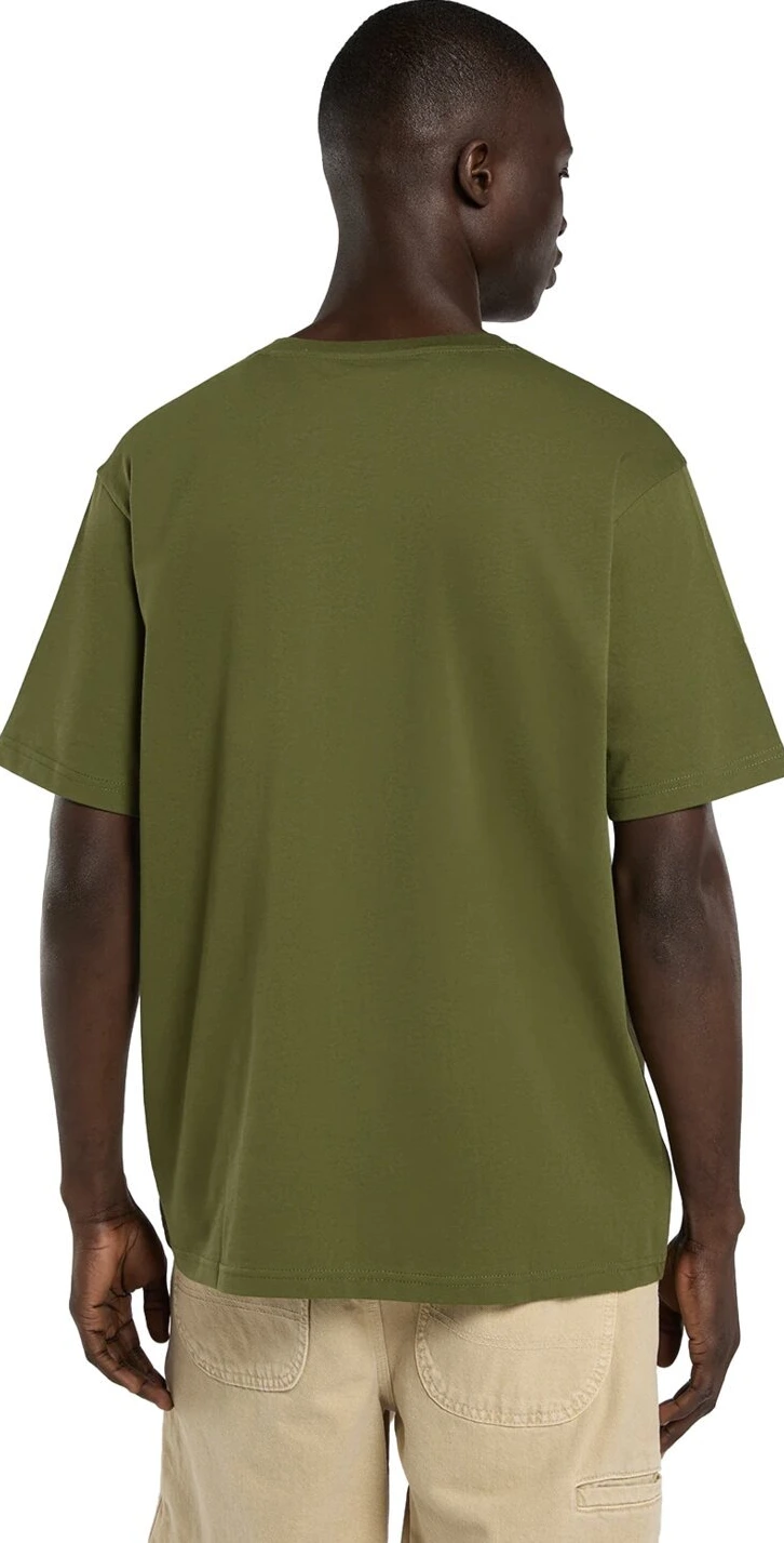 Dickies Mapleton t-shirt, cypress Green, 2XL