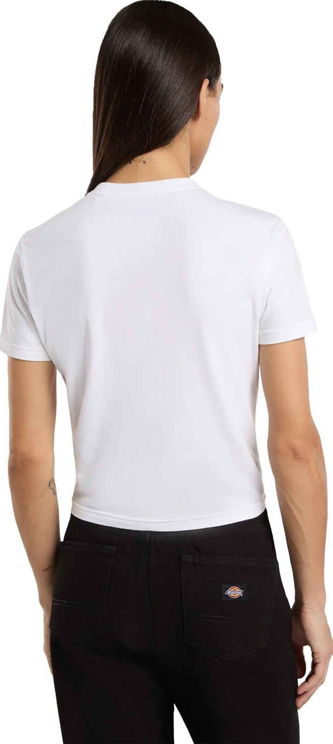 Dickies Maple Valley female t-shirt, White, L