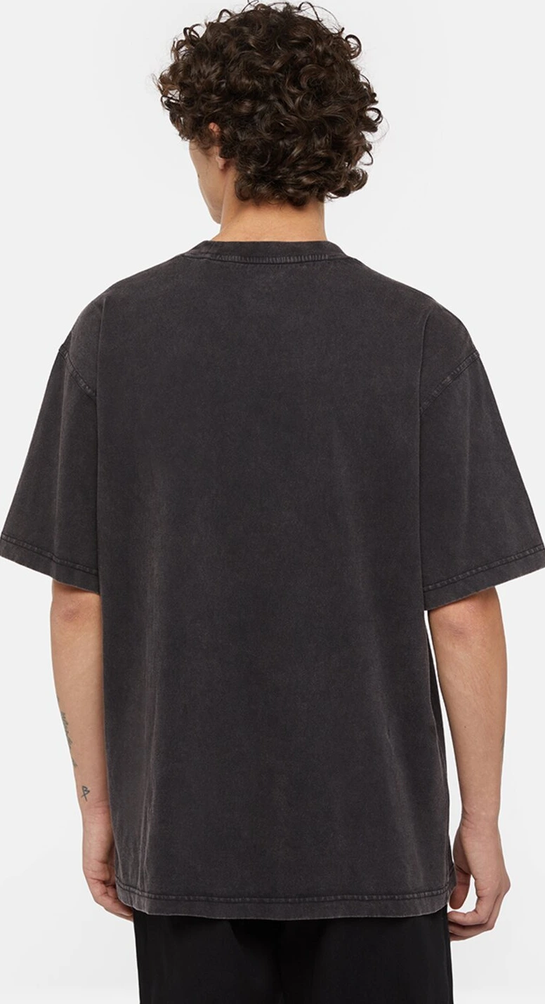 Dickies Plentywood t-shirt, acid wash, Black, M