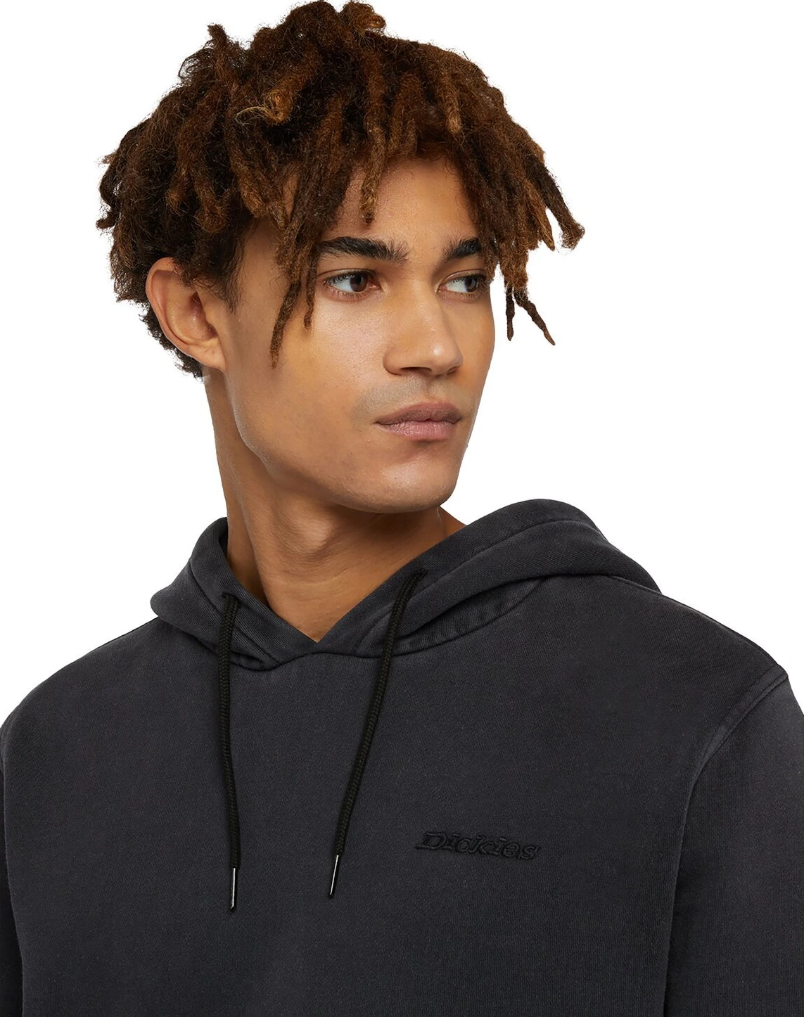 Dickies Plentywood hoodie, Black, 2XL