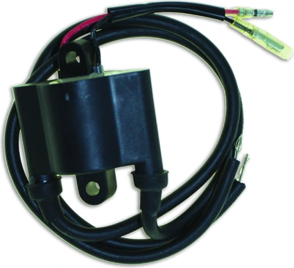 Cdi Elec. Yamaha uždegimo ritė