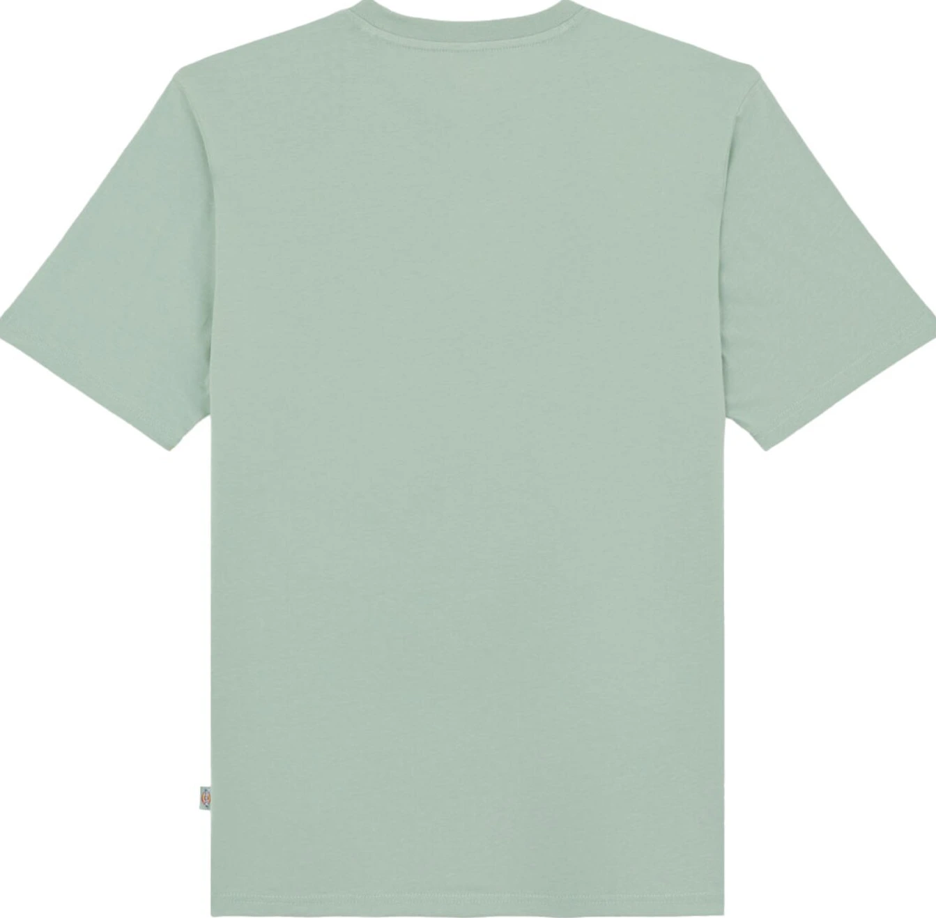 Dickies Mapleton t-shirt iceberg green, L