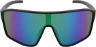 Spect Red Bull Daft Sunglasses black smoke with purple revo