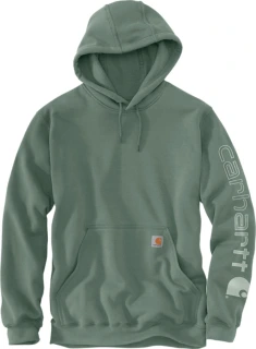 Carhartt Sleeve Logo hoodie
